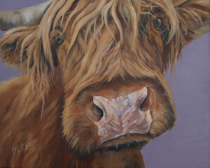 let go12x16INCHESdeepwhite Good quality canvas print of a highland cow painting, stretched on a deep canvas frame, The edges of the canvas are white. Free postage in the UK.