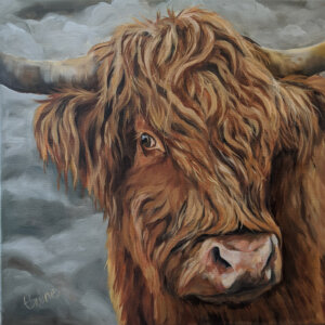 lockdown cow45x45deepwhite Good quality canvas print of a Highland cow painting stretched on a deep frame The edges of the canvas are white. Postage in the UK is free