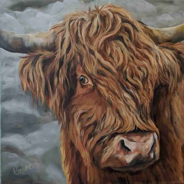 lockdown cow45x45deepwhite scaled Good quality canvas print of a Highland cow painting stretched on a deep frame The edges of the canvas are white. Postage in the UK is free