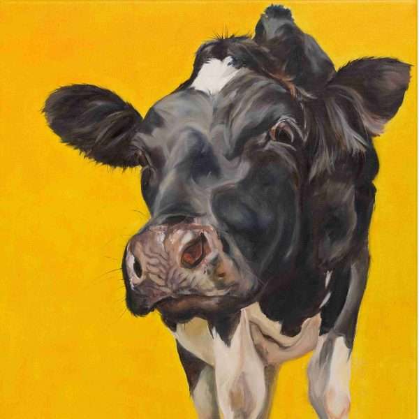 Look at this girl Holstein cow canvas print