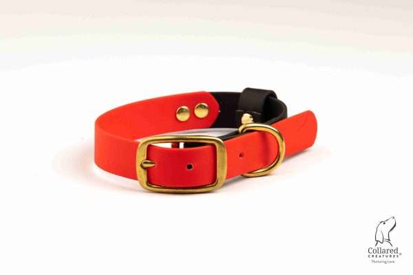 collared creatures red and black waterproof dog collar