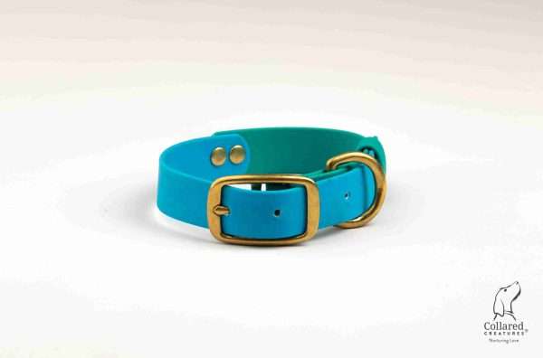 Collared Creatures Sky Blue & Teal Multicolour Waterproof Dog Collar