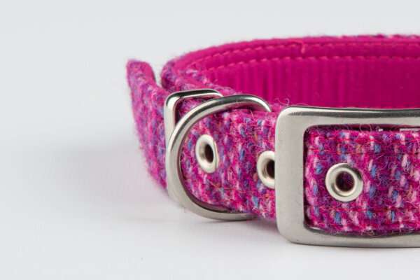Collared Creatures Pink Koana Harris Tweed Luxury Dog Collar buckle collar close up