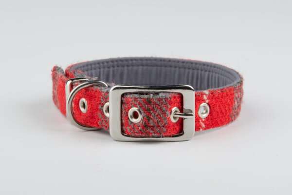 Collared Creatures Red And Grey Check Harris Tweed Luxury Dog Collar buckle fastening