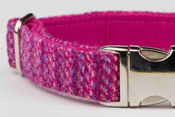 Collared Creatures Pink Koana Harris Tweed Luxury Dog Collar close up