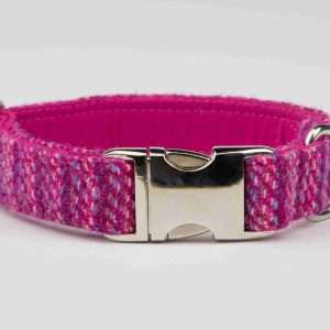 Collared Creatures Pink Koana Harris Tweed Luxury Dog Collar