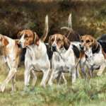 A Hunting We Will Go