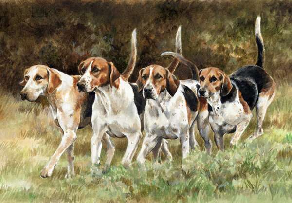 A Hunting We Will Go