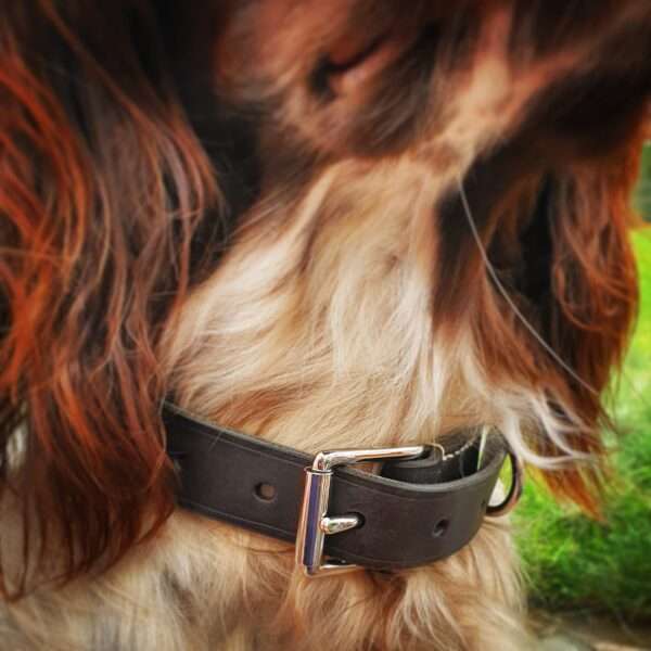 IMG 20210131 133402 723 Hand-crafted leather dog collar. Made from the finest English full grain leather. Hand-stitched. Leather colour: black, dark brown, chestnut, tan, or natural. Solid brass or nickel-plated hardware. Personalised - add your initials, dogs name, surname, postcode, or phone number.