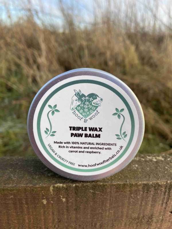 Triple Wax Paw Balm