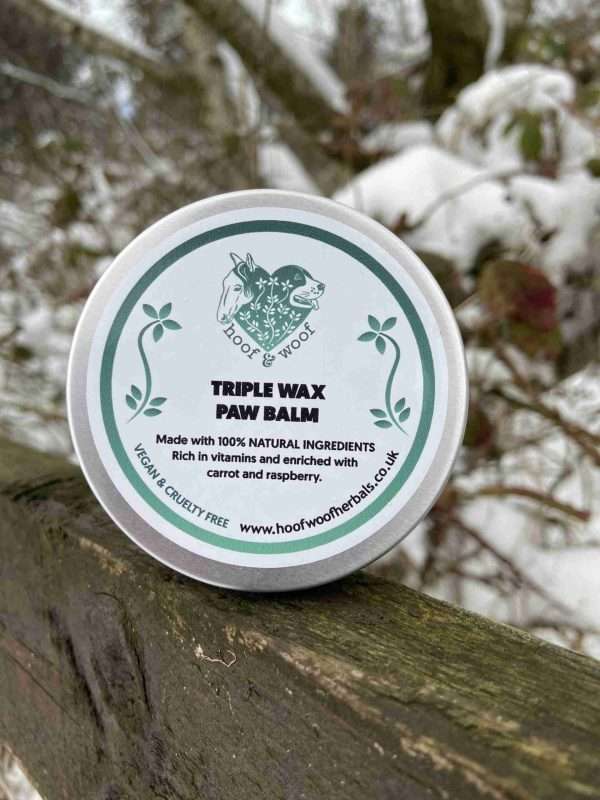 Triple Wax Paw Balm