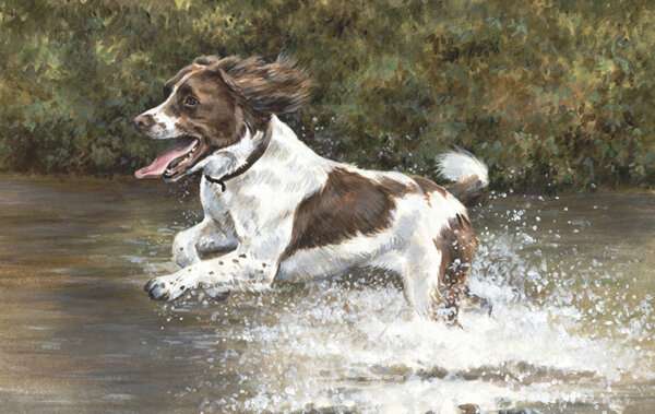 Making a Splash