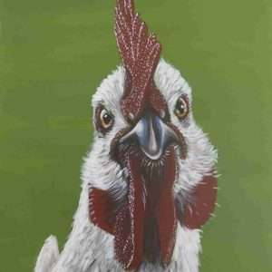 Chicken Fun