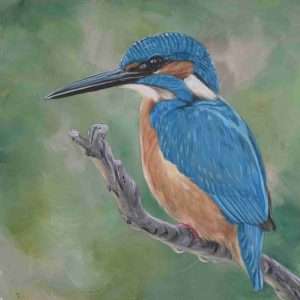 Kingfisher - Original Painting