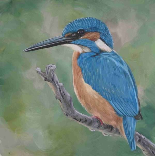 Kingfisher - Original Painting