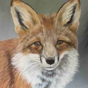 Fox - Original Painting