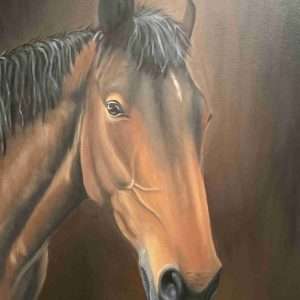 Horse Portraits in Oil on Canvas