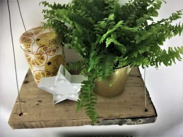 Oakridge mini shelf - Hanging Shelf Made From Reclaimed Scaffold Boards - Hanging Rope Shelf - Plant Shelf - Mini Shelf - Image 3