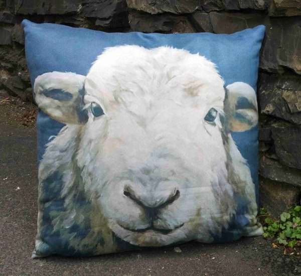 What do you think cushion
