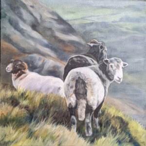 yan tyan Tethera w Good quality canvas print of a sheep painting. They are standing on Coniston old man. All animal prints are stretch on a deep canvas frame, produced using high quality canvas, light fast inks, and strong MDF wood frames. The canvas print is available in different sizes. The edges of the canvas are white.