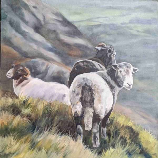 yan tyan Tethera w scaled Good quality canvas print of a sheep painting. They are standing on Coniston old man. All animal prints are stretch on a deep canvas frame, produced using high quality canvas, light fast inks, and strong MDF wood frames. The canvas print is available in different sizes. The edges of the canvas are white.