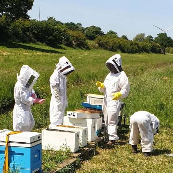 101678928 587435138857898 5573426408291565568 n BEEKEEPING DAY COURSE ⭐ RECOMMENDED BY VIRGIN EXPERIENCE DAYS⭐ <strong>What's Included</strong> ✅ One day beekeeping workshop, One to One or small groups. ✅ Learn how to care for and keep honeybees in an ethical and sustainable way ✅ A mix of practical and theory covering topics such as learning about the honeybee, what equipment you will use, how to care for your honeybees and how honey is made ✅ Hands-on time working with the honeybees at the outdoor beehive ✅ Refreshments provided but please bring a packed lunch. ✅ Beekeeping suits will be provided to use on the day ✅ Fully Insured <strong>What Can I Expect</strong> Perfect for beginners! Spend a day with David and his busy bees. With a mixture of talks and hands-on sessions, you’ll learn everything there is to know about starting out in beekeeping. The programme is split into several different sections so you’re not bombarded with too much bee talk at once. There are refreshments on hand and a light lunch with snacks. In essence, this is a fun and interactive, yet laid-back look at beekeeping. Starting with the bee basics, you’ll hear about bee biology, how colonies work, and communicate (truly fascinating stuff!) and their life cycle. Then it’s time to take a look at the life of a beekeeper. You’ll be shown what looking after bees entails, what types of hives there are and how you harvest honey. You will also discover how honey is made and how important pollination is. Indeed, this Sheffield beekeeping workshop goes one step further, by showing you just which flowers and plants you should grow to attract your bees, And of course, on a warm summer’s day you’ll see the bees flying from their hive to bring back pollen and nectar. It’s honey making happening live in front of your eyes! Dressed up in your beekeeper suit, you’ll also get to see what goes on inside the busy hive, as these full-day workshops include plenty of interaction with the bees. You’ll be shown how to lift the lids and how to spot the queen bee. There will also be time to taste the honey produced by Davids bees. and it is quite simply delicious. David will tell you why and how different types of honey exist! Book your place on these one-day beekeeping courses in Sheffield and spend a lovely day with David and his many thousands of bees. All you need to bring is your enthusiasm and a pair of wellies or sturdy boots! Please message us for more details. No age restriction, although not recommended for under 8's Vouchers are available. Social distancing and government recommendations will be adhered to.