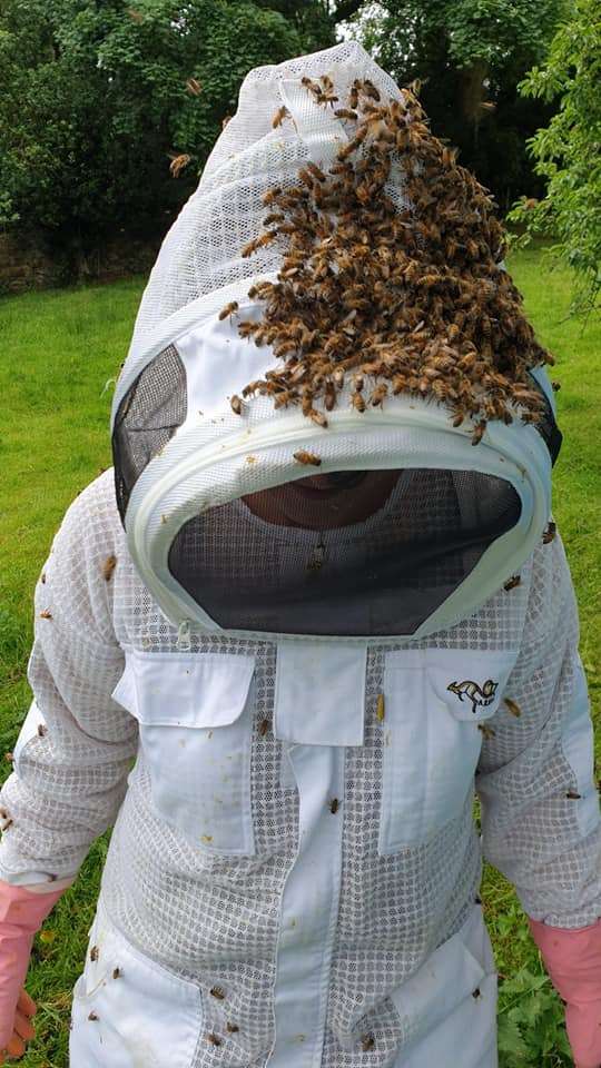 103485938 590231238578288 6874380990230400802 n Take delight in an extraordinary beekeeping experience for one with More Bees Please Based in Sheffield. This experience is perfect for those wanting to discover more about these fascinating insects. During your three-hour remarkable experience, enjoy an introduction to beekeeping, and learn the history behind our company.