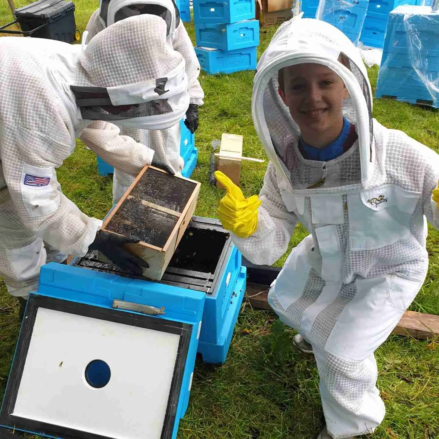 Beekeeping Experience Half Day - Image 5
