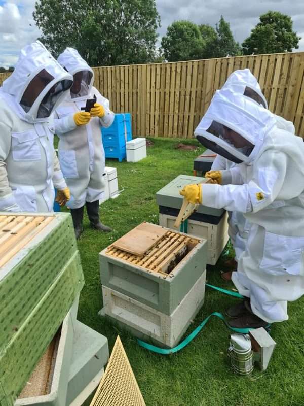 107870753 614042329530512 6990850431281747755 n BEEKEEPING DAY COURSE ⭐ RECOMMENDED BY VIRGIN EXPERIENCE DAYS⭐ <strong>What's Included</strong> ✅ One day beekeeping workshop, One to One or small groups. ✅ Learn how to care for and keep honeybees in an ethical and sustainable way ✅ A mix of practical and theory covering topics such as learning about the honeybee, what equipment you will use, how to care for your honeybees and how honey is made ✅ Hands-on time working with the honeybees at the outdoor beehive ✅ Refreshments provided but please bring a packed lunch. ✅ Beekeeping suits will be provided to use on the day ✅ Fully Insured <strong>What Can I Expect</strong> Perfect for beginners! Spend a day with David and his busy bees. With a mixture of talks and hands-on sessions, you’ll learn everything there is to know about starting out in beekeeping. The programme is split into several different sections so you’re not bombarded with too much bee talk at once. There are refreshments on hand and a light lunch with snacks. In essence, this is a fun and interactive, yet laid-back look at beekeeping. Starting with the bee basics, you’ll hear about bee biology, how colonies work, and communicate (truly fascinating stuff!) and their life cycle. Then it’s time to take a look at the life of a beekeeper. You’ll be shown what looking after bees entails, what types of hives there are and how you harvest honey. You will also discover how honey is made and how important pollination is. Indeed, this Sheffield beekeeping workshop goes one step further, by showing you just which flowers and plants you should grow to attract your bees, And of course, on a warm summer’s day you’ll see the bees flying from their hive to bring back pollen and nectar. It’s honey making happening live in front of your eyes! Dressed up in your beekeeper suit, you’ll also get to see what goes on inside the busy hive, as these full-day workshops include plenty of interaction with the bees. You’ll be shown how to lift the lids and how to spot the queen bee. There will also be time to taste the honey produced by Davids bees. and it is quite simply delicious. David will tell you why and how different types of honey exist! Book your place on these one-day beekeeping courses in Sheffield and spend a lovely day with David and his many thousands of bees. All you need to bring is your enthusiasm and a pair of wellies or sturdy boots! Please message us for more details. No age restriction, although not recommended for under 8's Vouchers are available. Social distancing and government recommendations will be adhered to.