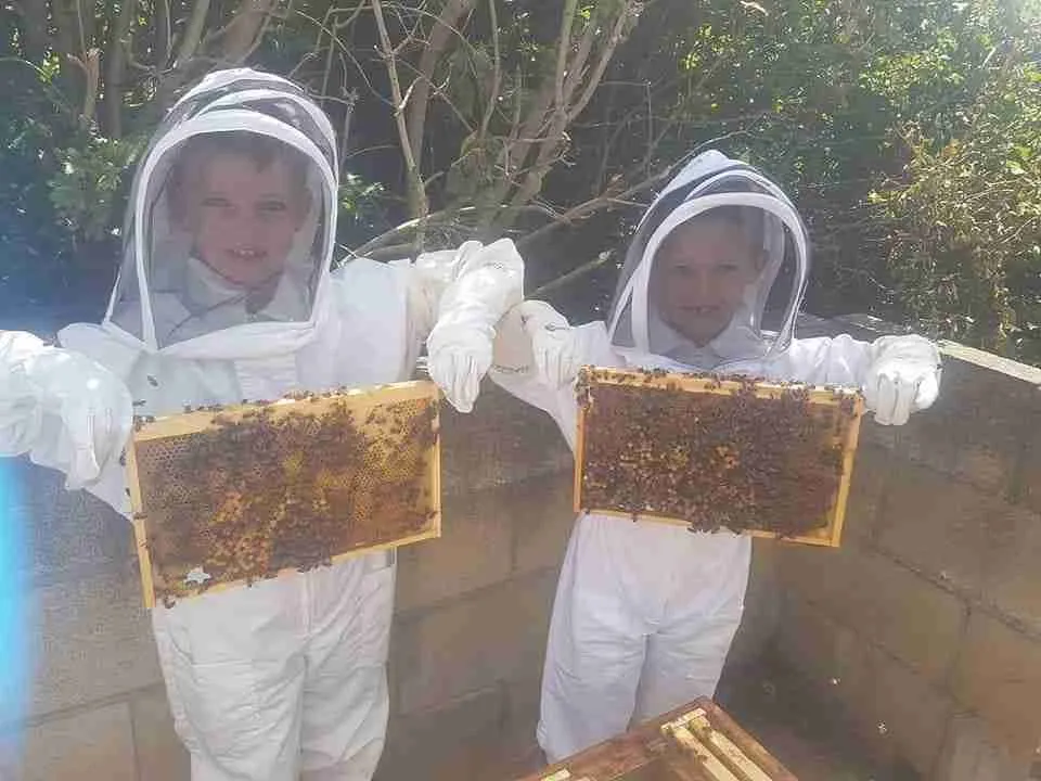 Beekeeping Experience Half Day - Image 8