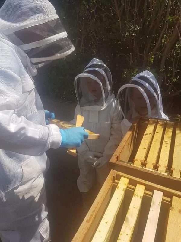 82343005 488064702128276 2919148413343760384 n BEEKEEPING DAY COURSE ⭐ RECOMMENDED BY VIRGIN EXPERIENCE DAYS⭐ <strong>What's Included</strong> ✅ One day beekeeping workshop, One to One or small groups. ✅ Learn how to care for and keep honeybees in an ethical and sustainable way ✅ A mix of practical and theory covering topics such as learning about the honeybee, what equipment you will use, how to care for your honeybees and how honey is made ✅ Hands-on time working with the honeybees at the outdoor beehive ✅ Refreshments provided but please bring a packed lunch. ✅ Beekeeping suits will be provided to use on the day ✅ Fully Insured <strong>What Can I Expect</strong> Perfect for beginners! Spend a day with David and his busy bees. With a mixture of talks and hands-on sessions, you’ll learn everything there is to know about starting out in beekeeping. The programme is split into several different sections so you’re not bombarded with too much bee talk at once. There are refreshments on hand and a light lunch with snacks. In essence, this is a fun and interactive, yet laid-back look at beekeeping. Starting with the bee basics, you’ll hear about bee biology, how colonies work, and communicate (truly fascinating stuff!) and their life cycle. Then it’s time to take a look at the life of a beekeeper. You’ll be shown what looking after bees entails, what types of hives there are and how you harvest honey. You will also discover how honey is made and how important pollination is. Indeed, this Sheffield beekeeping workshop goes one step further, by showing you just which flowers and plants you should grow to attract your bees, And of course, on a warm summer’s day you’ll see the bees flying from their hive to bring back pollen and nectar. It’s honey making happening live in front of your eyes! Dressed up in your beekeeper suit, you’ll also get to see what goes on inside the busy hive, as these full-day workshops include plenty of interaction with the bees. You’ll be shown how to lift the lids and how to spot the queen bee. There will also be time to taste the honey produced by Davids bees. and it is quite simply delicious. David will tell you why and how different types of honey exist! Book your place on these one-day beekeeping courses in Sheffield and spend a lovely day with David and his many thousands of bees. All you need to bring is your enthusiasm and a pair of wellies or sturdy boots! Please message us for more details. No age restriction, although not recommended for under 8's Vouchers are available. Social distancing and government recommendations will be adhered to.