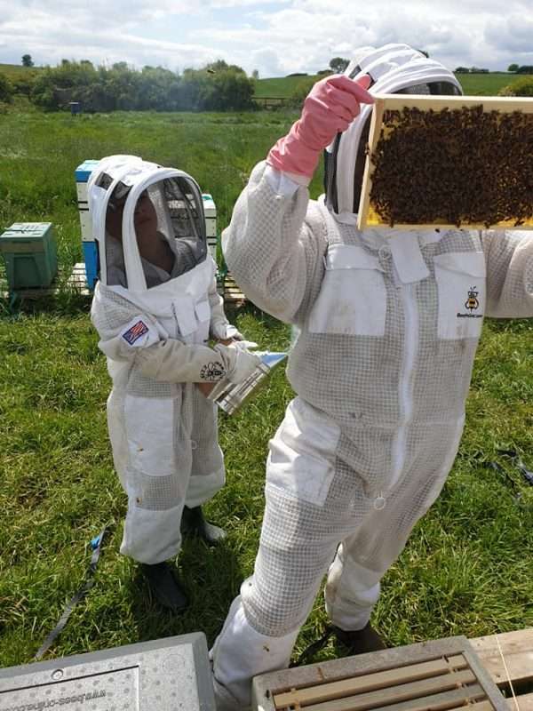 96943840 573183173616428 7113967242483597312 n Take delight in an extraordinary beekeeping experience for one with More Bees Please Based in Sheffield. This experience is perfect for those wanting to discover more about these fascinating insects. During your three-hour remarkable experience, enjoy an introduction to beekeeping, and learn the history behind our company.