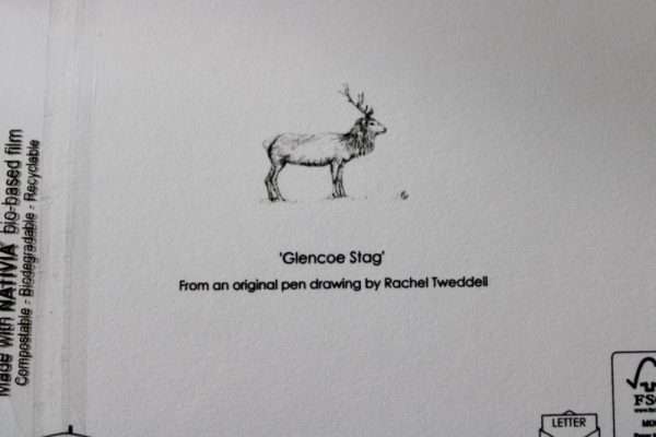 Glencoe Stag Greeting Card - Back