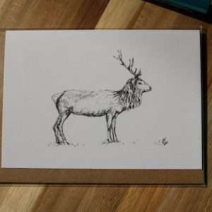 Glencoe Stag Greeting Card - Front