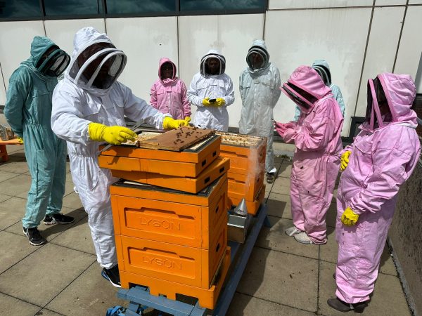 IMG 20230517 WA0016 1 BEEKEEPING DAY COURSE ⭐ RECOMMENDED BY VIRGIN EXPERIENCE DAYS⭐ <strong>What's Included</strong> ✅ One day beekeeping workshop, One to One or small groups. ✅ Learn how to care for and keep honeybees in an ethical and sustainable way ✅ A mix of practical and theory covering topics such as learning about the honeybee, what equipment you will use, how to care for your honeybees and how honey is made ✅ Hands-on time working with the honeybees at the outdoor beehive ✅ Refreshments provided but please bring a packed lunch. ✅ Beekeeping suits will be provided to use on the day ✅ Fully Insured <strong>What Can I Expect</strong> Perfect for beginners! Spend a day with David and his busy bees. With a mixture of talks and hands-on sessions, you’ll learn everything there is to know about starting out in beekeeping. The programme is split into several different sections so you’re not bombarded with too much bee talk at once. There are refreshments on hand and a light lunch with snacks. In essence, this is a fun and interactive, yet laid-back look at beekeeping. Starting with the bee basics, you’ll hear about bee biology, how colonies work, and communicate (truly fascinating stuff!) and their life cycle. Then it’s time to take a look at the life of a beekeeper. You’ll be shown what looking after bees entails, what types of hives there are and how you harvest honey. You will also discover how honey is made and how important pollination is. Indeed, this Sheffield beekeeping workshop goes one step further, by showing you just which flowers and plants you should grow to attract your bees, And of course, on a warm summer’s day you’ll see the bees flying from their hive to bring back pollen and nectar. It’s honey making happening live in front of your eyes! Dressed up in your beekeeper suit, you’ll also get to see what goes on inside the busy hive, as these full-day workshops include plenty of interaction with the bees. You’ll be shown how to lift the lids and how to spot the queen bee. There will also be time to taste the honey produced by Davids bees. and it is quite simply delicious. David will tell you why and how different types of honey exist! Book your place on these one-day beekeeping courses in Sheffield and spend a lovely day with David and his many thousands of bees. All you need to bring is your enthusiasm and a pair of wellies or sturdy boots! Please message us for more details. No age restriction, although not recommended for under 8's Vouchers are available. Social distancing and government recommendations will be adhered to.