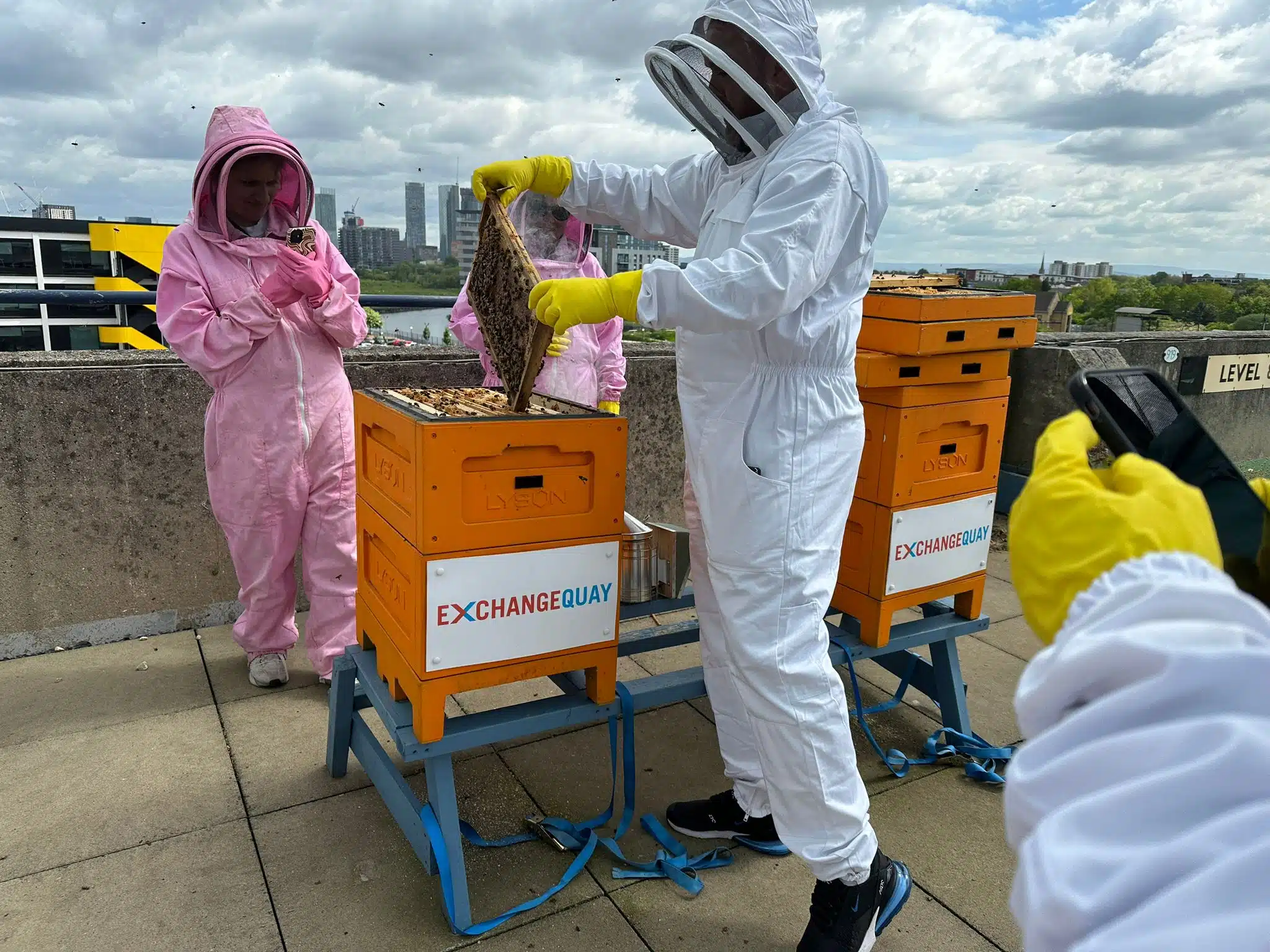 Beekeeping Experience Half Day - Image 16