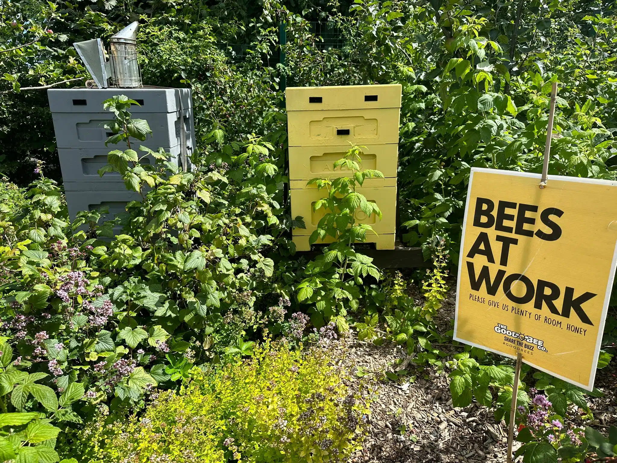 Beekeeping Experience Half Day - Image 18
