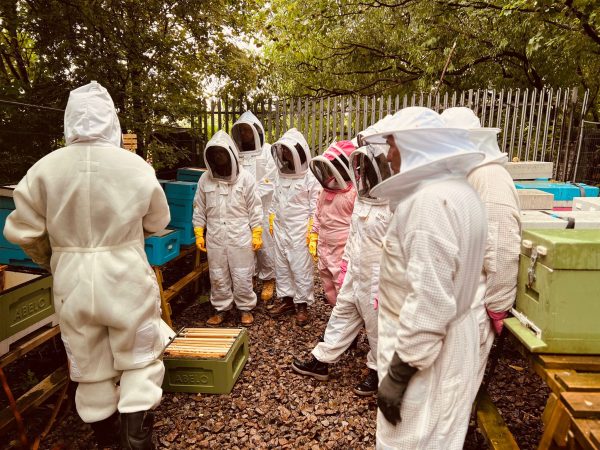 IMG 20230722 WA0001 1 Take delight in an extraordinary beekeeping experience for one with More Bees Please Based in Sheffield. This experience is perfect for those wanting to discover more about these fascinating insects. During your three-hour remarkable experience, enjoy an introduction to beekeeping, and learn the history behind our company.