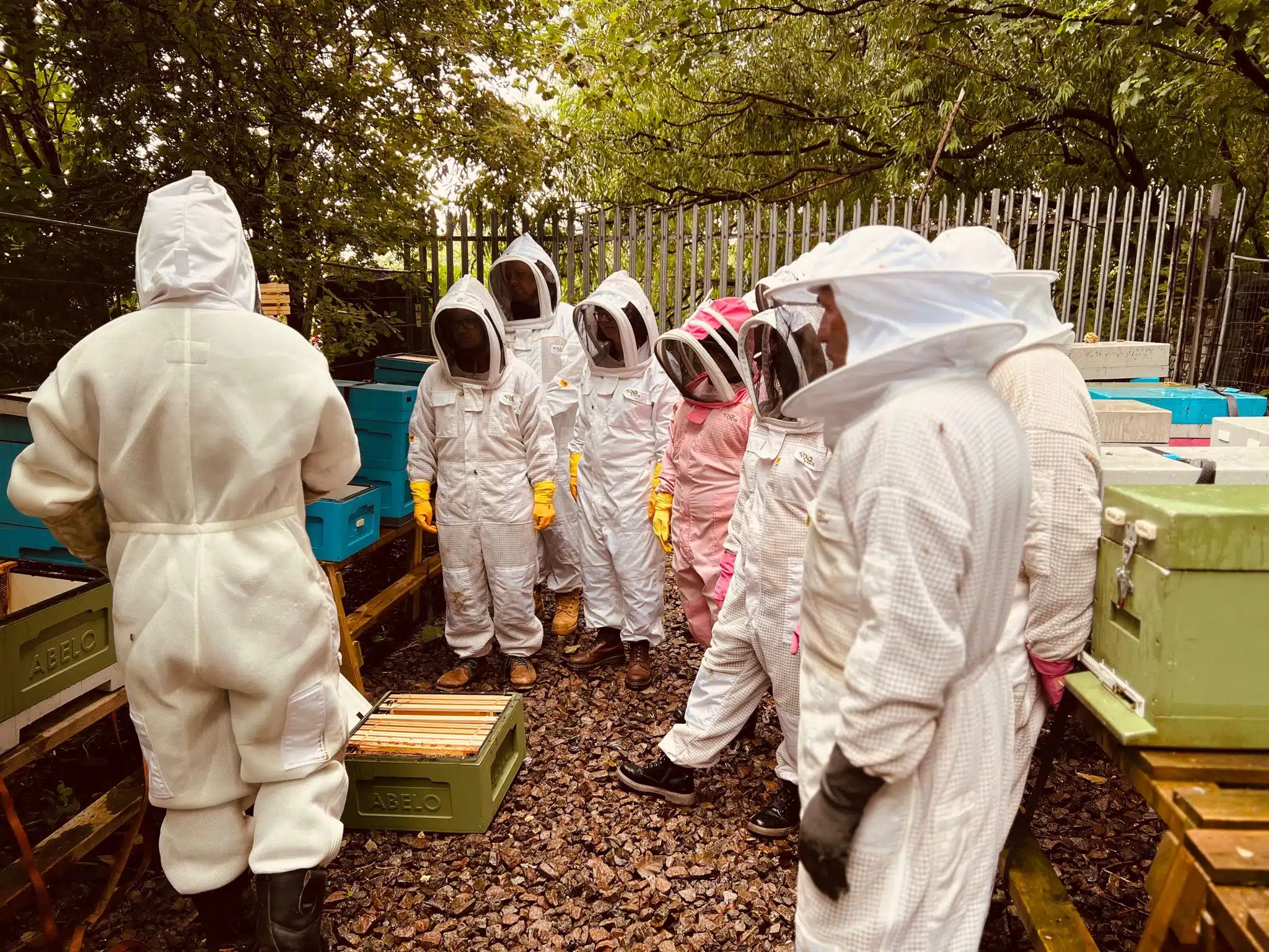 Beekeeping Experience Half Day - Image 13