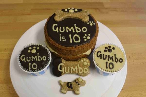 Dog Birthday Boy Cake and PupCakes - Image 2