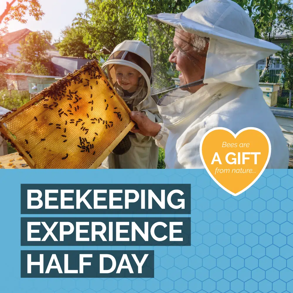 Beekeeping Experience Half Day - Image 2