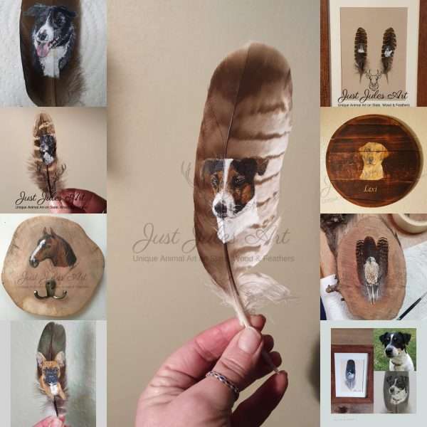 Pet portraits