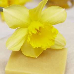 Daffodil Soap