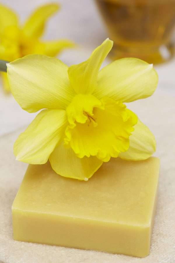 Daffodil Soap