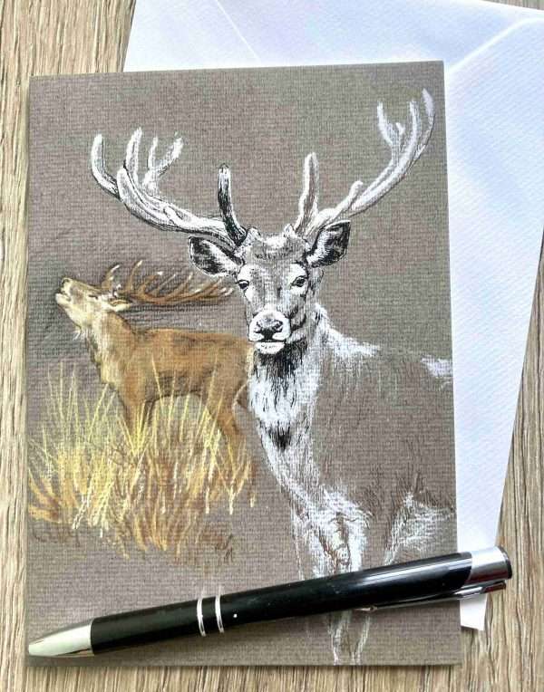 Card - Red Deer Studies