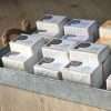 Goat's Milk Soap - Image 3