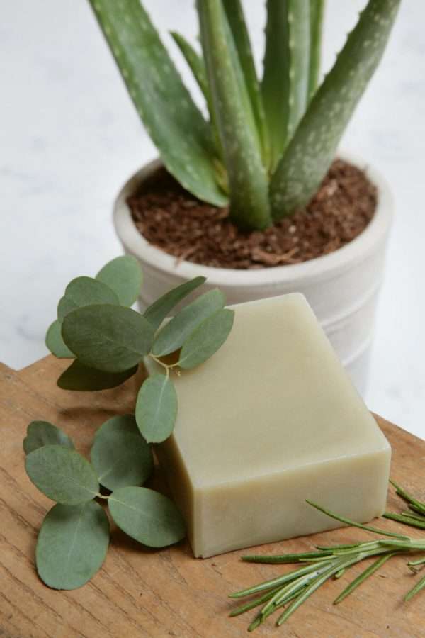 Aloe Vera Soap