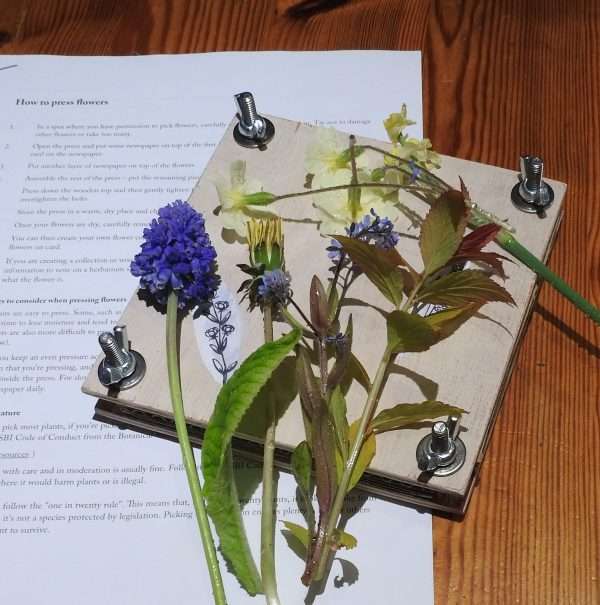 Small Flower Press