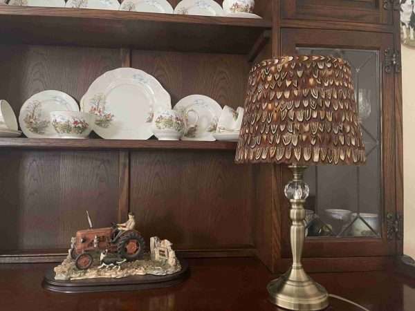 Stunning Ring Neck Pheasant Cock Bird Feather Lamp Shade 18cmH by 25cm W - Image 7