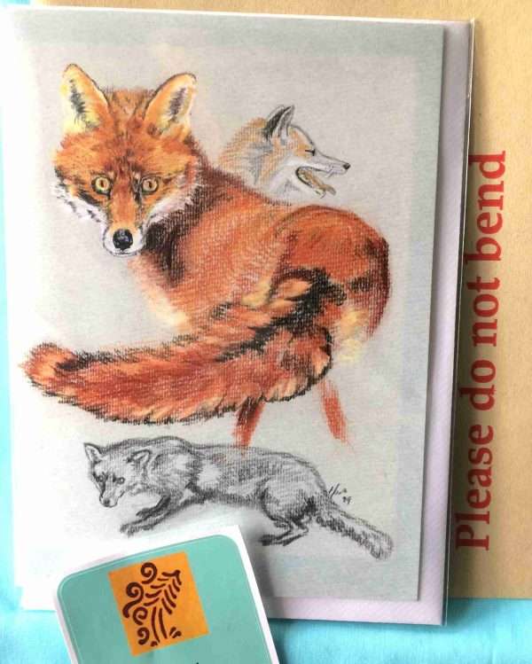 Card - Red Fox Studies